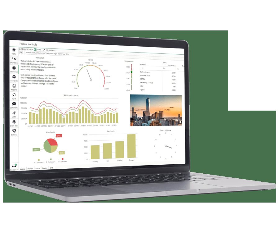 BizView product view